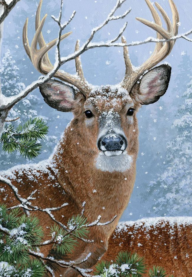 Winter Whitetail Deer Garden Flag