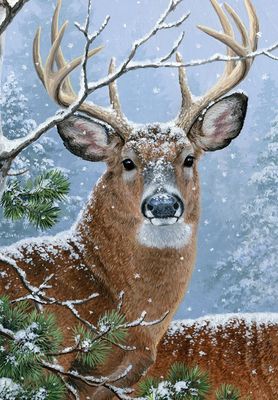 Winter Whitetail Deer Garden Flag