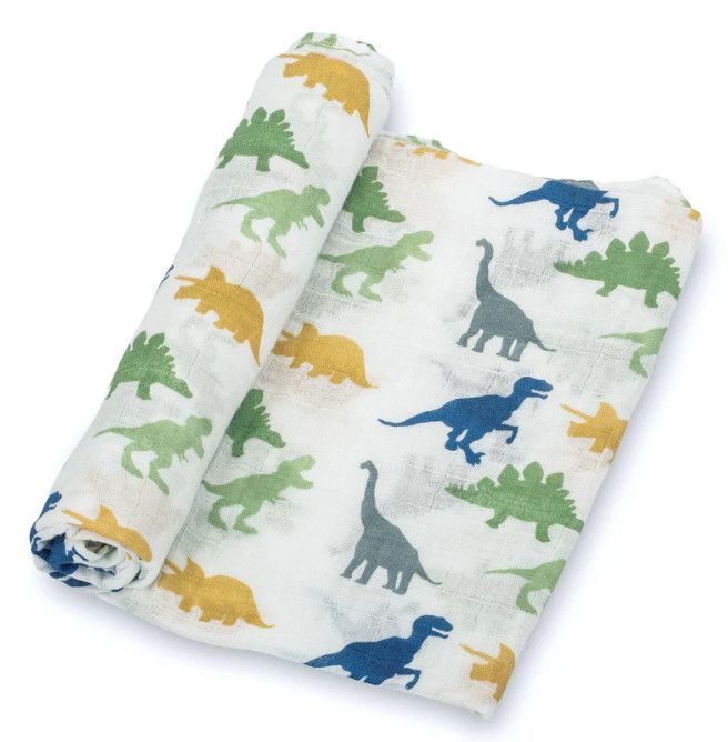 Rawr-Some Swaddle Blanket