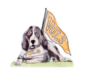 Tennessee Smokey Acrylic Stand