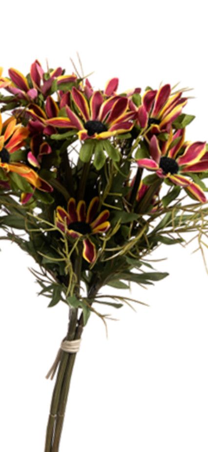 18&quot; Rudbeckia | Burgundy