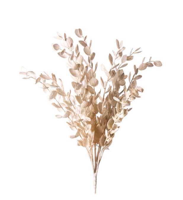 20&quot; Eucalyptus Bush | Beige