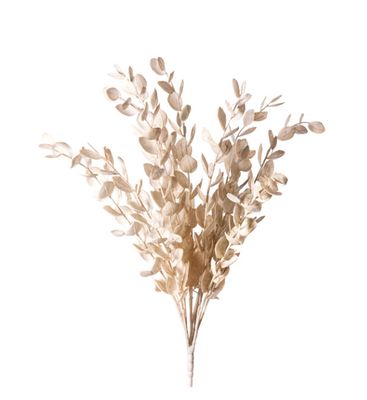 20&quot; Eucalyptus Bush | Beige