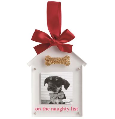 Acrylic Bone Ornament Frame