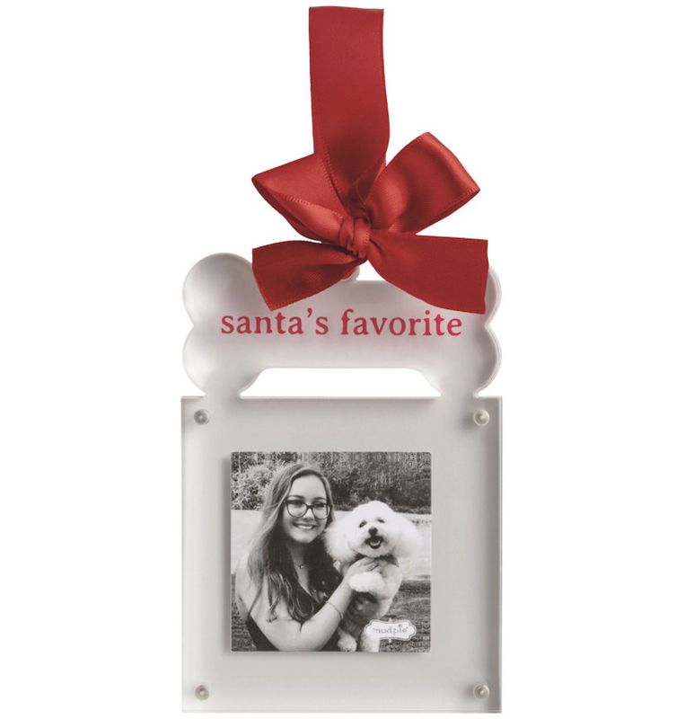 Acrylic Santa Ornament Frame