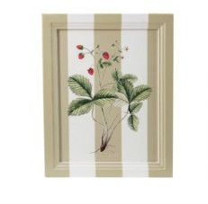 Painted Frame Botanical Green Stripe Strawberry