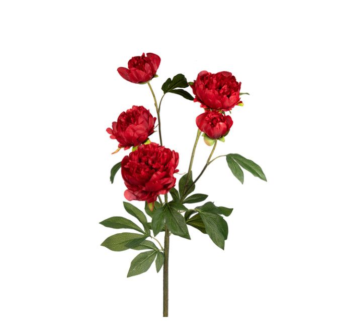 Large Peony Red 36&quot;