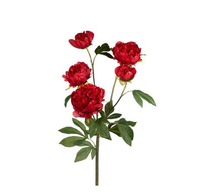 Large Peony Red 36&quot;