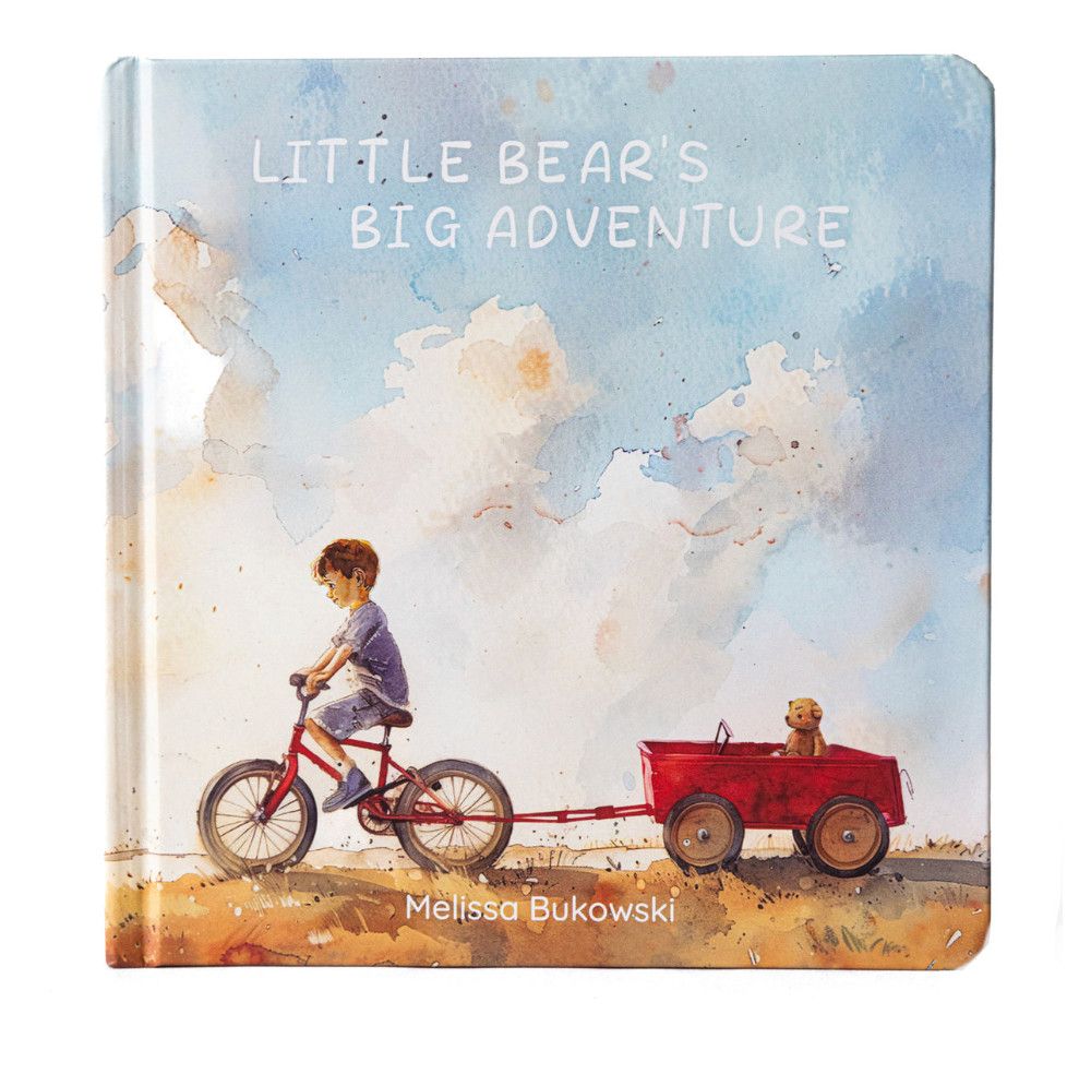 Little Bears Big Adventure Book