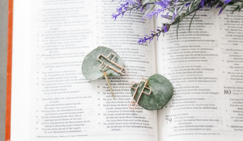 Cross Clips Set of 3