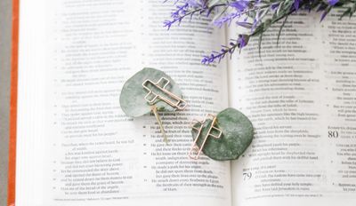 Cross Clips Set of 3