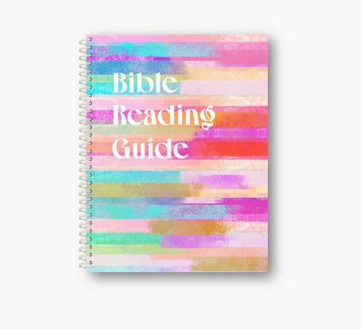 Bible Reading Guide/Journal | Striped