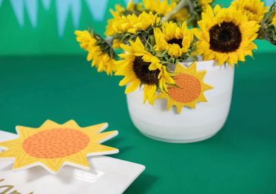 Happy Everything™ Mini Attachment | Sun