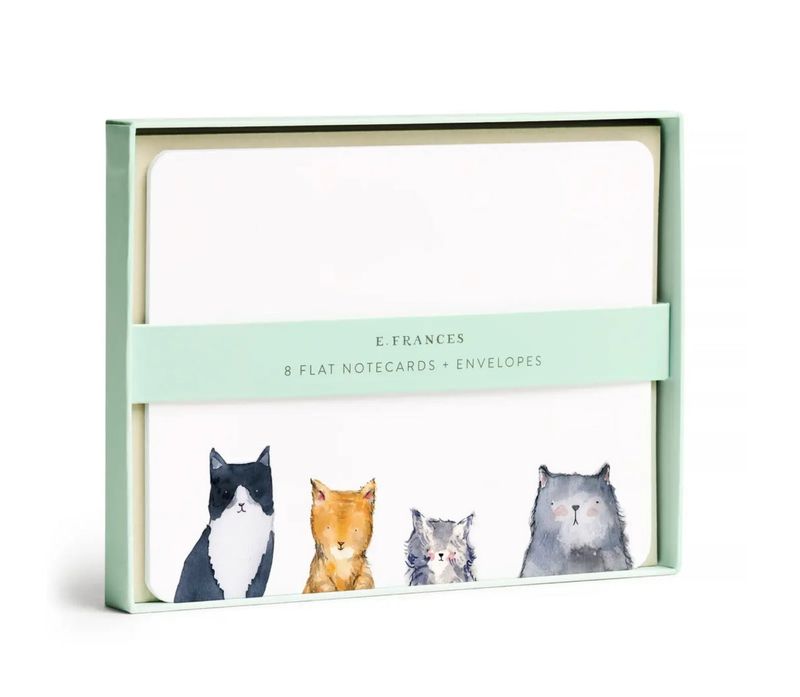Cat's Meow Flat Notes | Boxed Notecard Set