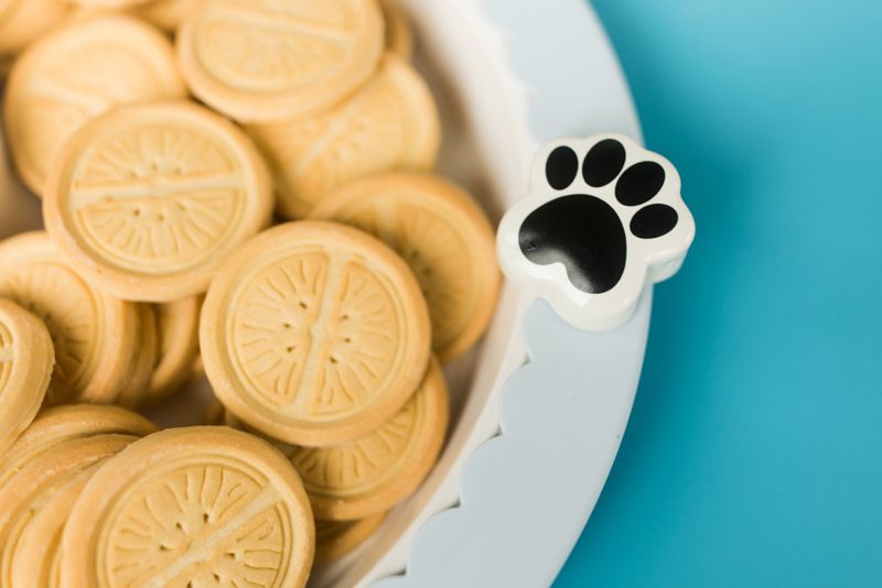 Nora Fleming© Mini Attachment | It's Paw-ty Time