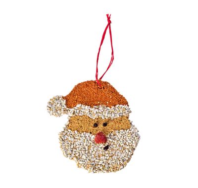 Santa Birdseed Cookie