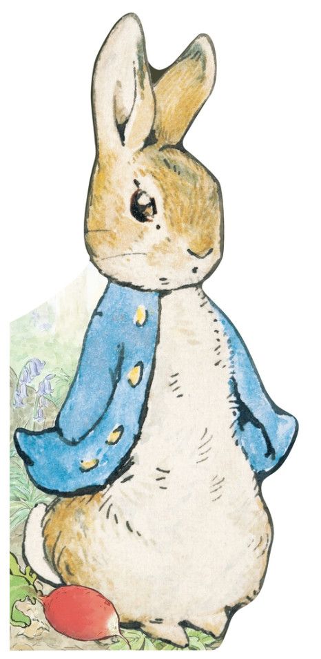 All About Peter Book