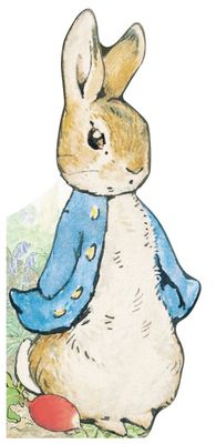 All About Peter Book