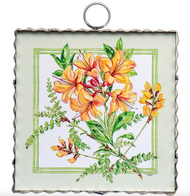 Round Top© Attachment | Mini Beck's Lilies