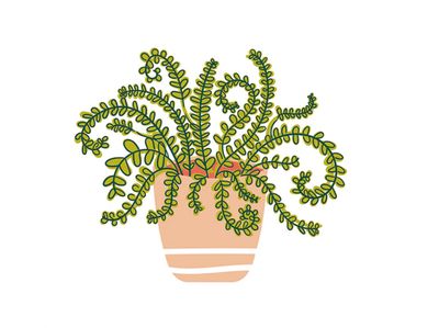 Happy Everything™ Mini Attachment |  Happy House Plant