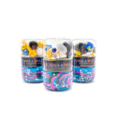 Young + Wild and Friedman Grab &amp; Go Dough Jar | Space