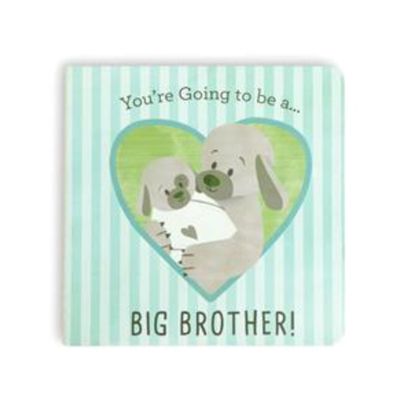 You're Going To Be A Big Brother Hardcover Book