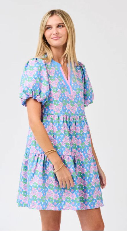 The Kinsley  Posies Dress, Size: S