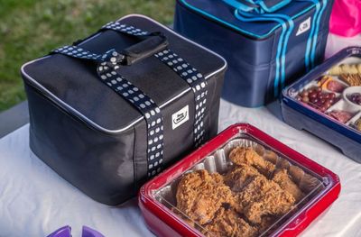 Fancy Panz Accessory | Insulated Travel Bag Black