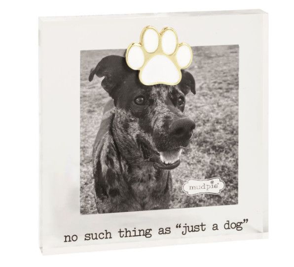 Acrylic Pet Frame | Paw