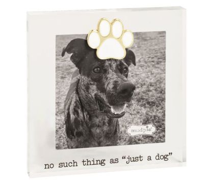 Acrylic Pet Frame | Paw