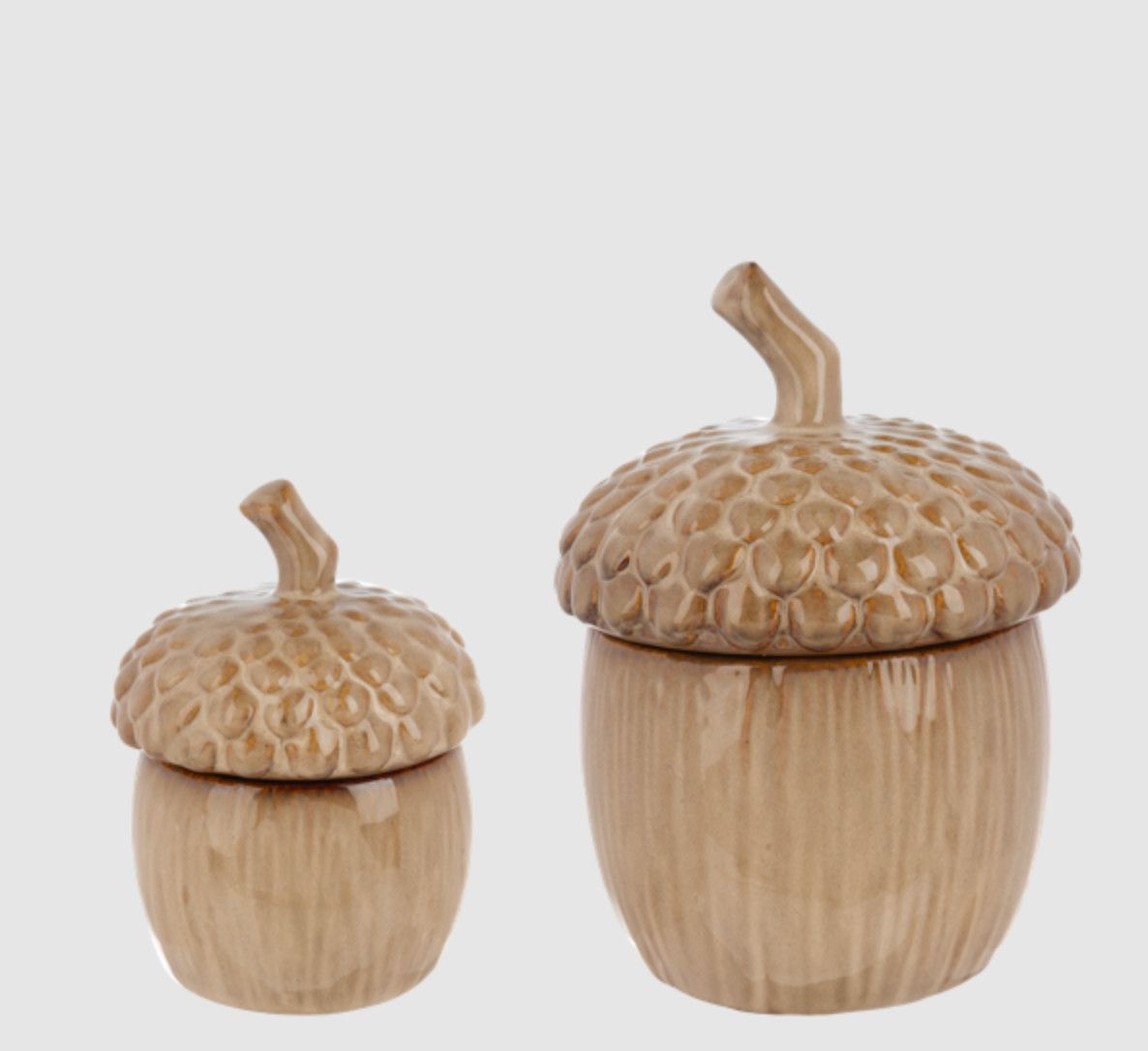Acorn Container with Lid | Large