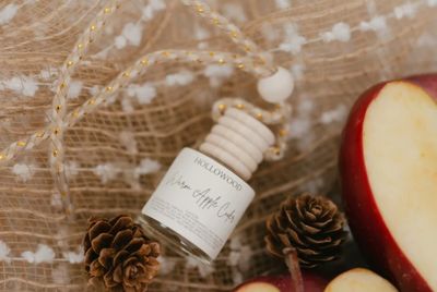 Hollowood Fall Car Diffuser | Warm Apple Cider
