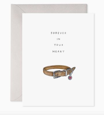 Pet Collar Greeting Card