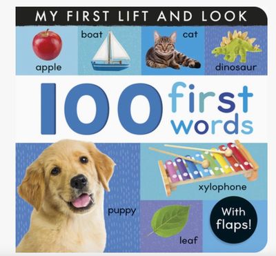 My First Lift and Look 100 First Words Book