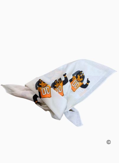 Smokey® Bandana