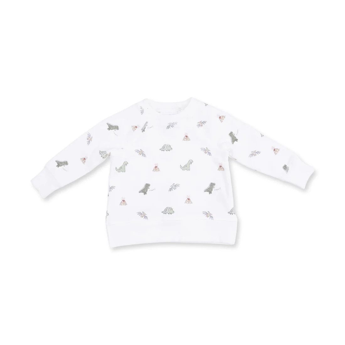 Angel Dear Dino Raglan Sweatshirt