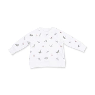 Angel Dear Dino Raglan Sweatshirt