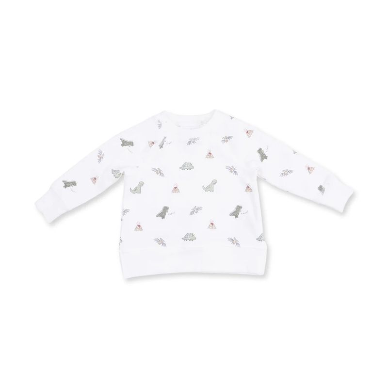 Angel Dear Dino Raglan Sweatshirt