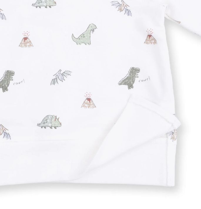 Angel Dear Dino Raglan Sweatshirt