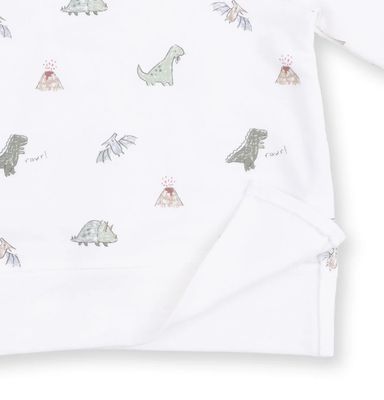 Angel Dear Dino Raglan Sweatshirt