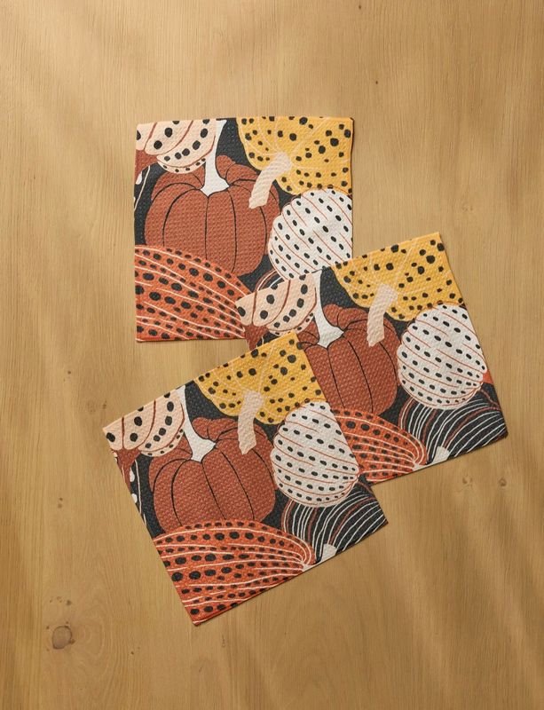 Painted Patch Dishcloth Set