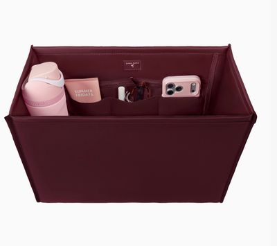 Case-Mate Jelly Tote Organizer | Mulberry