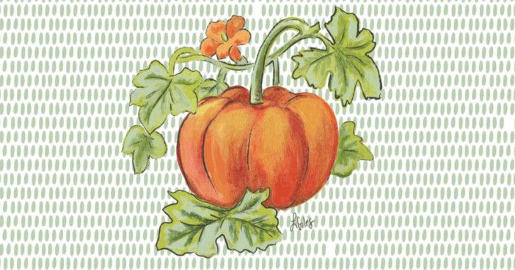Pillow Swap  Laura Pumpkin
