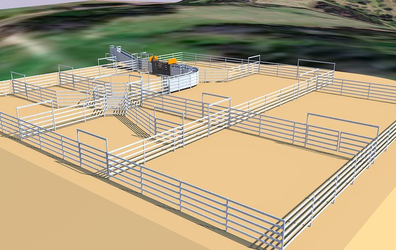 &quot;Yarrowitch&quot; 200+ Head Cattle Yards