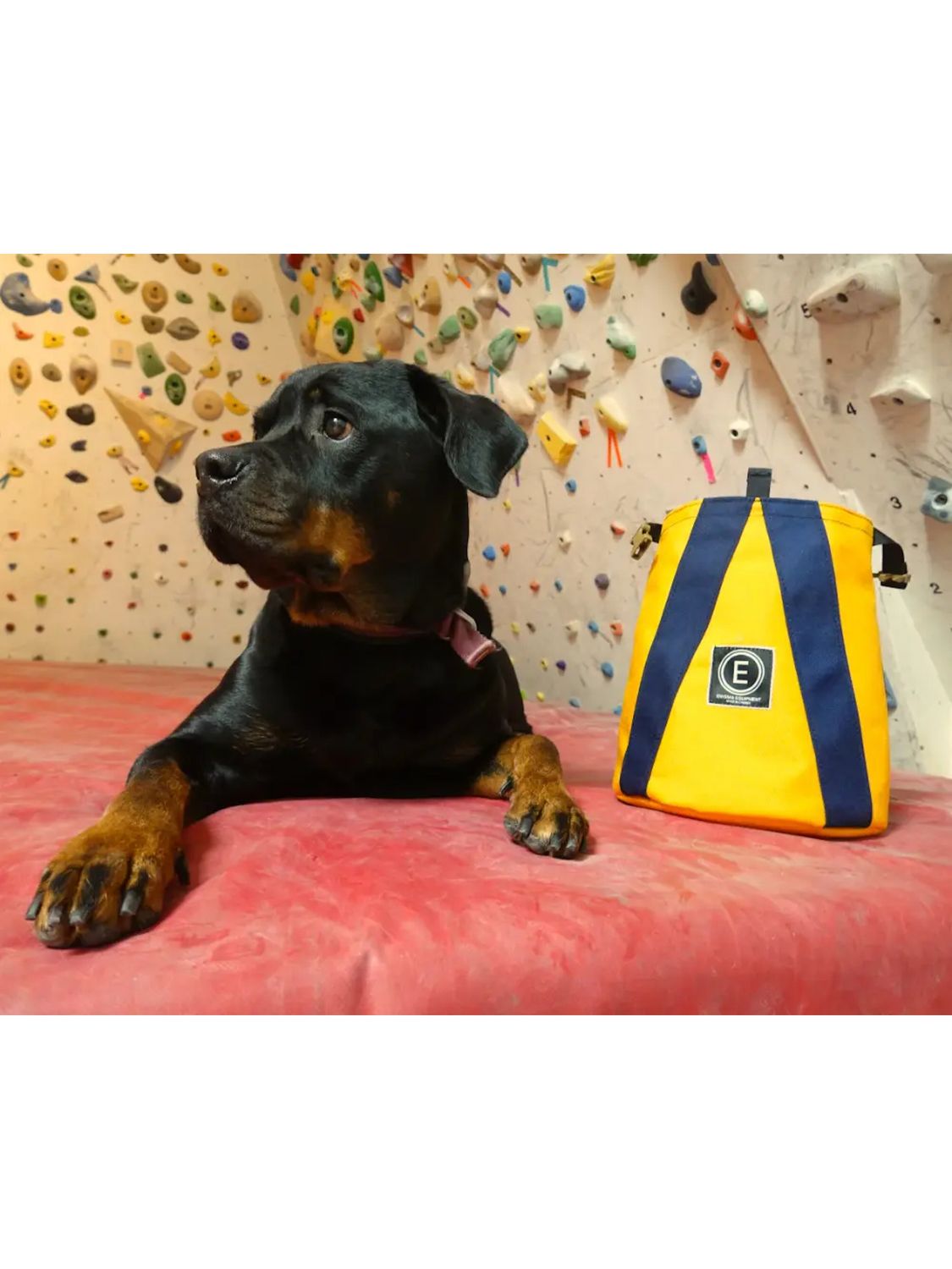 Enigma Equipment Apex Bouldering Bucket