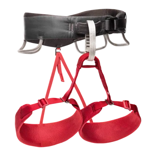 Black Diamond Momentum Harness (W) (2021 Stock)