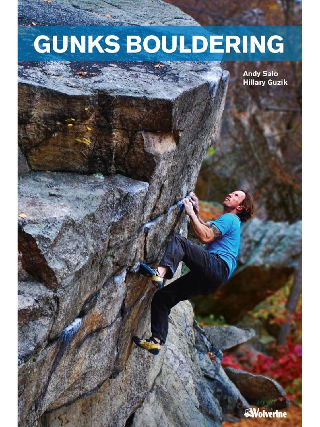 Gunks Bouldering