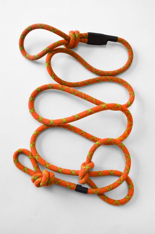 Dog Lead