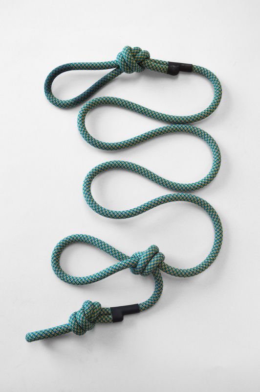 Dog Lead