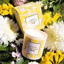 Simply Exquisite Candle - Essence of Citrus Grove (soy coco)